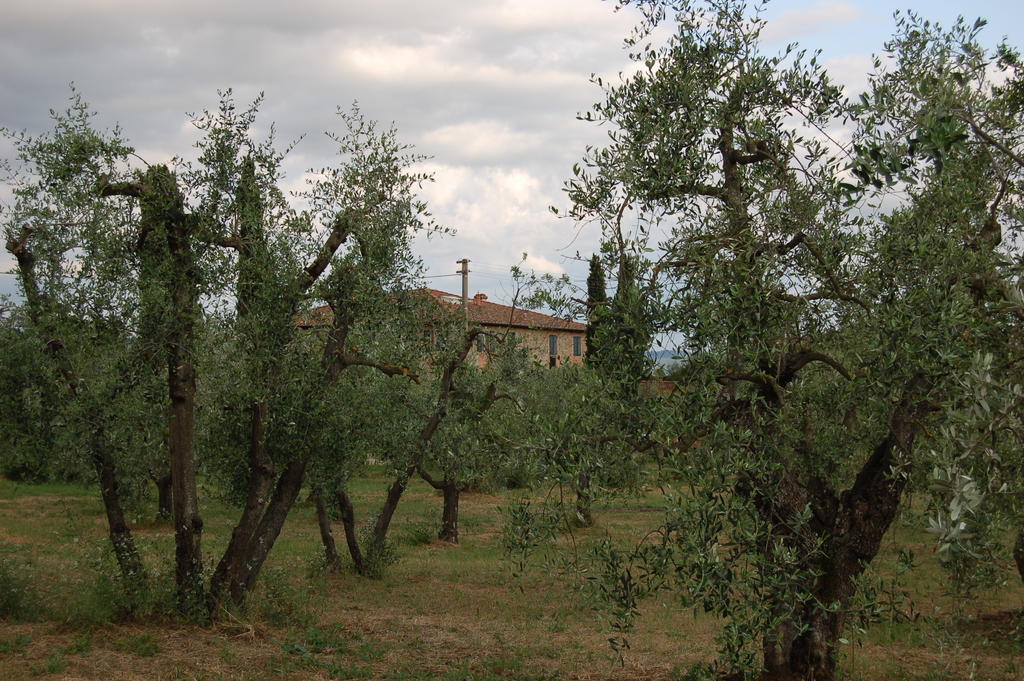 Podere Scaluccia Impruneta Eksteriør bilde